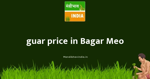 guar price